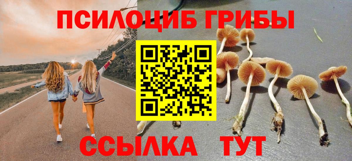 купить закладку  Псилоцибиновые грибы GOLDEN TEACHER  Вход с VPN  Алексеевка 