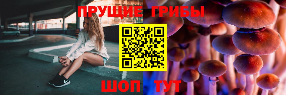 Галлюциногенные грибы Magic Shrooms Алексеевка